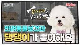 반려동물보건과